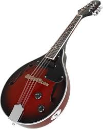 Mandoline Électrique Guitare Instrument Mandolin