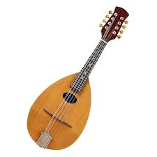 Mandoline Dépicéa Massif Frettes Guitare - La Précision dans Votre Cuisine