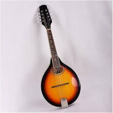 Mandoline Débutants - L'outil parfait pour les chefs en herbe