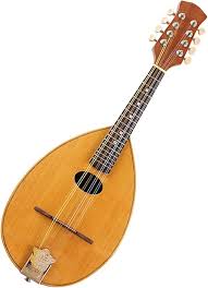 Mandoline Débutants Dépicéa Frettes Guitare - Idéale pour les Cuisiniers en Herbe