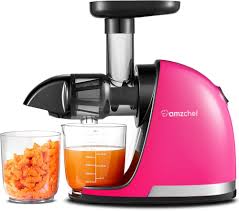 Extracteur de Jus AMZCHEF : Puissance et Précision