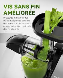 Extracteur de Légumes Silencieux AMZCHEF - La Trancheuse Naelia